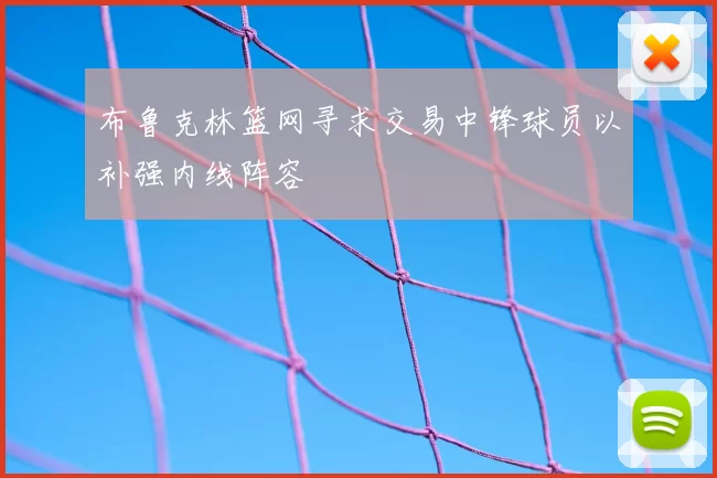 布鲁克林篮网寻求交易中锋球员以补强内线阵容