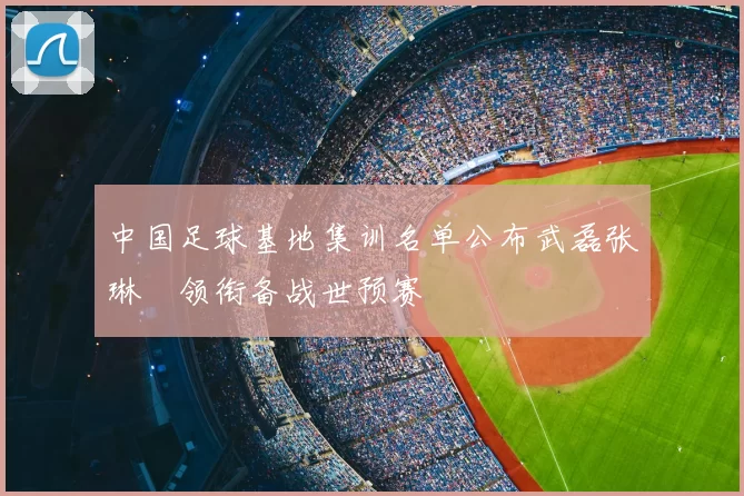 中国足球基地集训名单公布武磊张琳芃领衔备战世预赛
